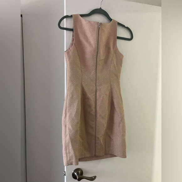BNWT Ever New Melbourne Nude Dress with slight shimmer - Picture 3 of 4